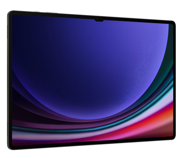 SAMSUNG Galaxy TAB S9 Ultra 14,6" 12/256GB WiFi szary (SM-X910NZAAEUE) - 1158901 - zdjęcie 7